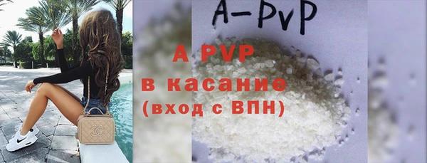 стаф Белокуриха