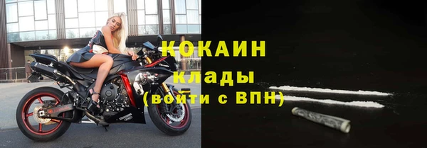 стаф Белокуриха