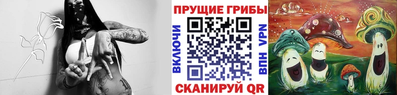 Галлюциногенные грибы ЛСД купить наркотики сайты Волчанск